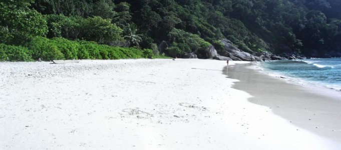 Koh Similan – Paed Island – Insel Nummer 8